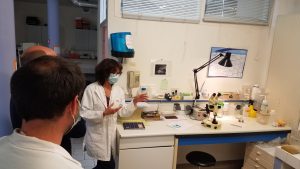 2021-formation-interne-experimentation