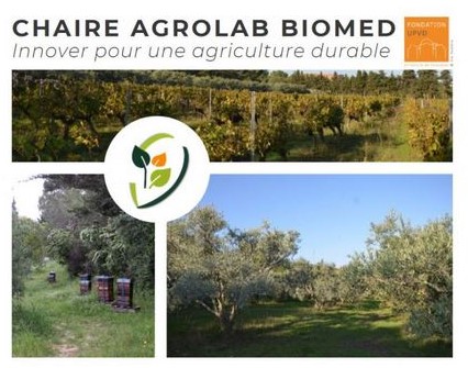 photo-pub-chaire-upvd