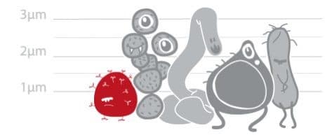 Teasers des posters IHPE au congrès EEID sur Vimeo Teasers des posters IHPE au congrès EEID sur Vimeo