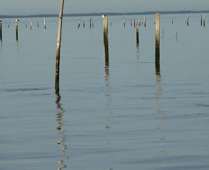 projet GESTINNOV projet GESTINNOV