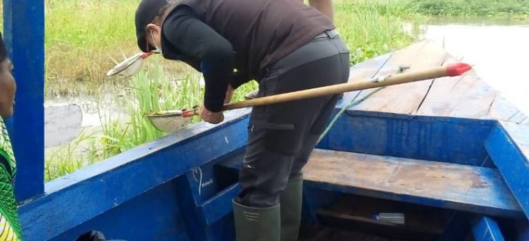 LMI Laboratoire Mixte International