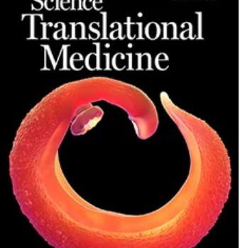 Article en Couverture