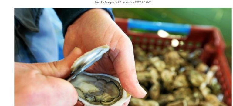 Article sur l’herpes virus de l’huître dans LE TELEGRAMME (29/12/2022)