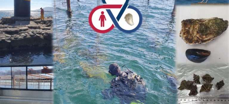 Workshop Antibiorésistance dans l&rsquo;Environnement 15/01/24