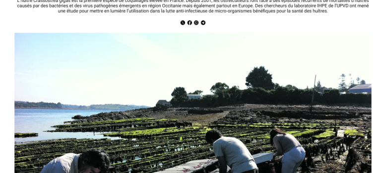 Article dans La Semaine du Roussillon (5/12/24) Article dans La Semaine du Roussillon (5/12/24)