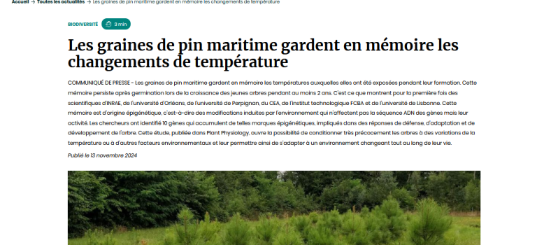 Communiqué Presse collaboration INRAE (13/11/24)