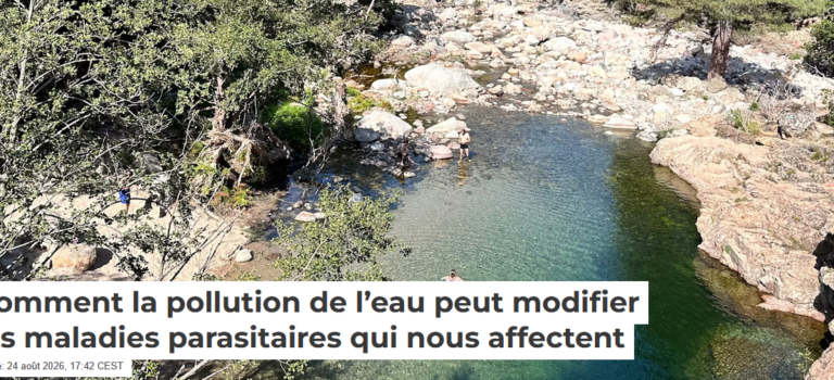 L&rsquo;influence de la pollution sur les parasites expliquée dans « The Conversation » (24/08/2026)